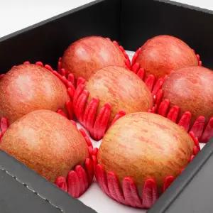 [선물세트] 경북사과 4kg 5kg 부사 안동 청송 사과 명절 설 추석 선물세트