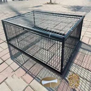 철제 비둘기 포획 퇴치 케이지 트랩 사냥 조류 새장