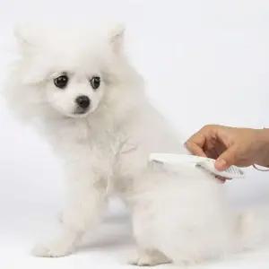 대애견빗 강아지먼지빗 죽은털 대 멀티 엉킨털톱니빗 (WFKASA4)