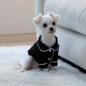 강아지옷 파자마 실내복 잠옷 수면 봄 여름 가을 티셔츠 반려견 애견 (WFKAEU6)