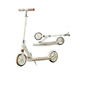 가벼운 킥보드 성인 수동 접이식 어른 퀵보드 두발 A