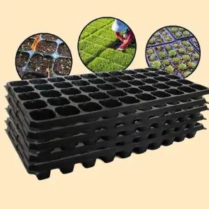 현이몰 모종 트레이 모종판 육묘판 파종 50구 5개 모종트레이 육묘 고추모종 수박모종 상추모종 들깨모종