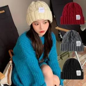 방한 겨울 여성 데일리 꽈배기 무지 니트 비니_24026811