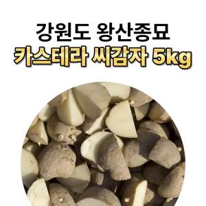 왕산종묘 강원도 카스테라 씨감자 종자 5kg