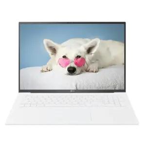 LG전자 2024 그램17 17ZD90SU-GXF6K SSD 512GB 교체