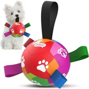 작은 강아지 QDAN 장난감 끈이 달린 축구공 공 생일 선물 5인치