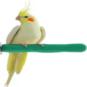 새장 스위트 피트와 부리 편안한 그립 안전 농어 새들이 손톱과 부리를 최상의 상태로 유지할 수 있는