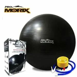 BOSU 밸런스 보수볼 하프짐볼 짐볼운동 발란