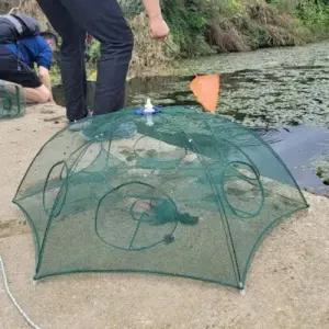 낚시용품 바다통발 통발 문어통발 6구 우산 민물 민물 WF0D08A