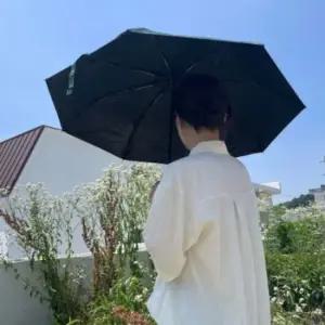 우양산 UV차단 양산겸용 암막 자동 양우산 그린