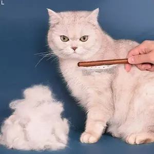 고품질 고양이 3종세트 참빗 BNC-A11 고양이빗 반려묘빗 반려견빗 고양이털 고양이털관리 WFHYELH