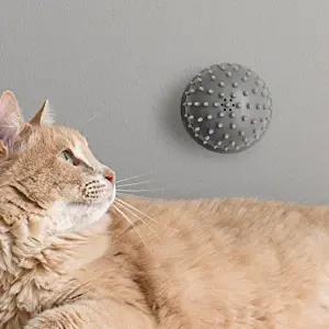 고품질 브러쉬 그루밍 셀프 캣잎 흡착 고양이 반려묘 털 WFHYELR