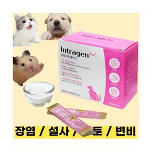 [인트라젠] 장염 설사 구토 변비 면역력강화 유산균 영양제 강아지 고양이 햄스터