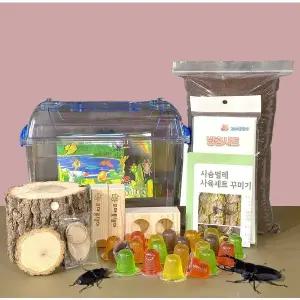 왕사슴벌레성충 대형 사육세트(성충한쌍포함)