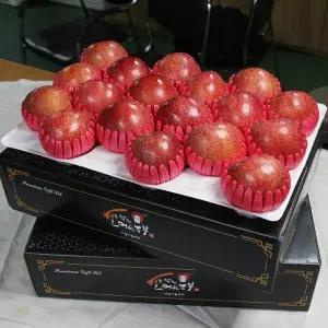 얼음골 사과 선물세트 고급형 3kg 중대과 8-9과