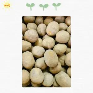 수미 두백 씨감자 4kg 10kg 감자 씨 종자 채종