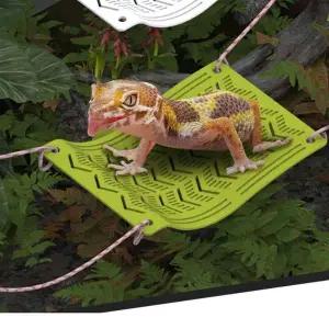 [골드스마일]거북이 침대 흡착 파충류 쉼터 놀이터 소형