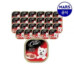 시저 강아지 습식캔 밥 쇠고기 100g 24개