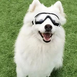 고품질 잔솔 강아지 고글 안경 반려견 애견선글라스 도글라스 애견샤워기 홈캠 애견용품 WFIU29F