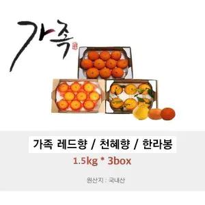 제주 만감류 3종 세트 레드향 1.5kg+천혜향 1.5kg+한라봉 1.5kg
