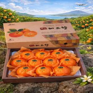 [꿍이네] 제주 레드향 프리미엄 선물세트 평균 14~15브릭스