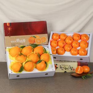 제주 과일 특산품 설 명절 선물세트 한라봉 / 레드향 / 천혜향 3kg 외피박스포장