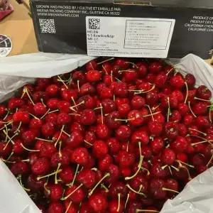 직수입 칠레산 생체리 9R 점보사이즈 2.5kg (+선물세트용박스)