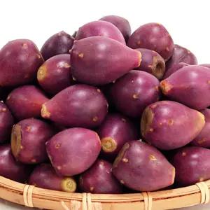 갓 수확한 제주도 생과 백년초 열매 5kg