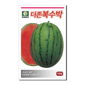 다농 더존복수박 씨앗 10립