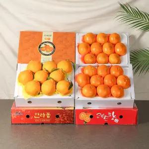 [장터할매][두박스 묶음 선물]제주 과일 특산품 설 명절 레드향,천혜향,한라봉 선물세트 3kg