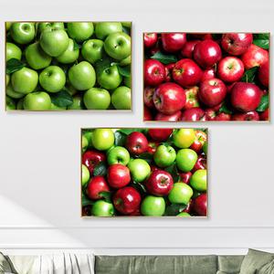 사과그림 3종 풍수 인테리어 캔버스 액자 거실 주방 현관