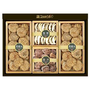 [표고아빠]국산 참나무표고버섯 선물세트(햇살2호)