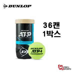 던롭 ATP 챔피언쉽 테니스 볼 공 시합구 36캔 (1박스)