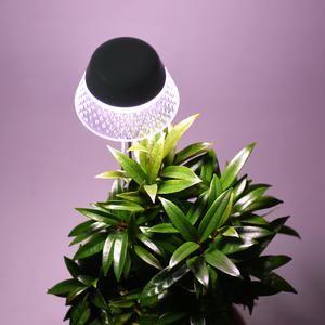 잎파랑 프리미엄 아크릴 LED 식물등 페어리