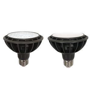 더쎈 LED PAR30 15W 레일조명 집중 /확산