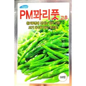 피엠꽈리 500립 농우 26년 고추씨앗