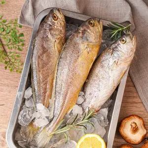 손질된 대사이즈 부세조기 5미 7미 10미 28cm내외)