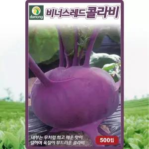 다농 비너스레드콜라비 씨앗 500립 적색 콜라비씨 채소 종자