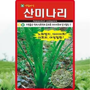 아람종묘 산미나리 씨앗 400립 산미나리씨 산채 종자
