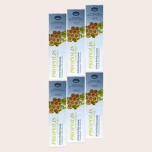 호주 프로폴리스 치약 네이쳐스탑 110g 6개