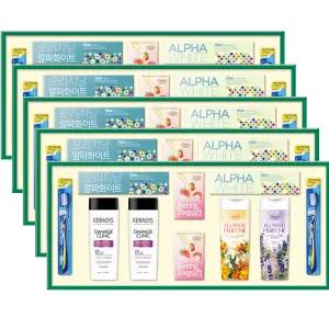 애경 다온 14호 선물세트 5개 (1BOX) / 명절 추석 설날 샴푸 바디워시 치약 칫솔 비누