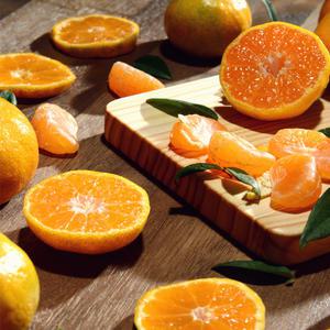 고당도 제주 하우스 노지 감귤 5kg 랜덤(2L-L)