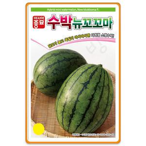 미니수박씨앗 10립 꼬꼬마 애플수박 씨앗 씨 종자