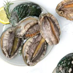 (완도생협)직송 활전복 왕특대 1kg 8-9미 산소포장