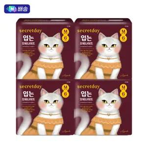 N배송 시크릿데이 입는 오버나이트 에디션 중형 6PX2+2팩