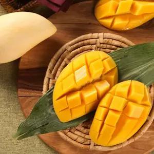 고당도 프리미엄 태국 골드망고 2kg 4kg 후숙과일