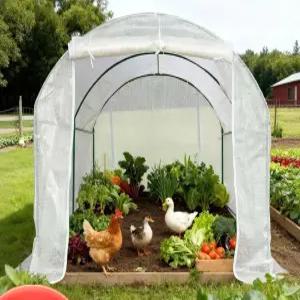 비닐하우스 농막 조립식 온실 없음 미니 텃밭 간이