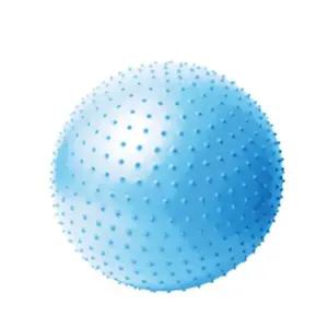 L97 짐볼 65cm 알라스칸블루 마사지볼 전신운동 홈트