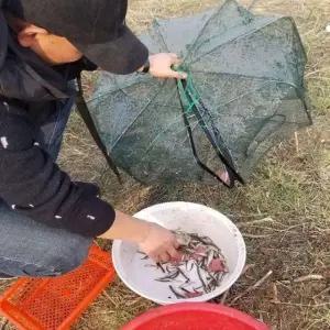 접이식 낚시 어망 새우 통발 그물망 민물 바다 물고기 뜰채망