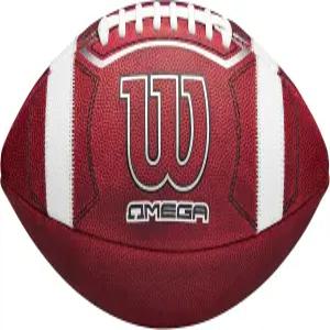 윌슨 오메가 공식 대학 풋볼 - 사이즈 브라운